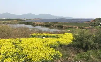 Great Wall New Energy Logo